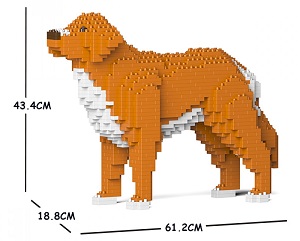 Nova Scotia Duck Tolling Retriever Medium - Dog Lego